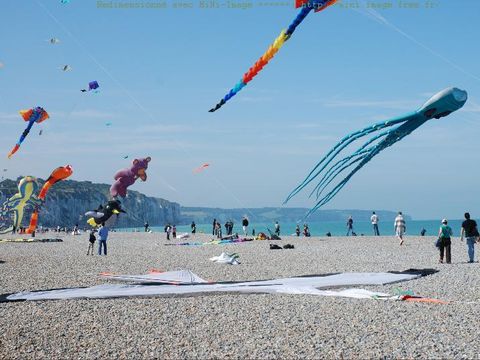 Flower Camping Vitamin - Camping Seine-Maritime - Image N°44
