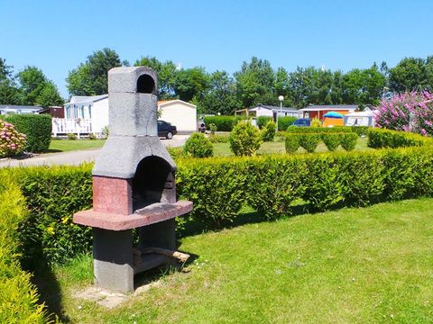 Flower Camping Vitamin - Camping Seine-Maritime - Image N°40