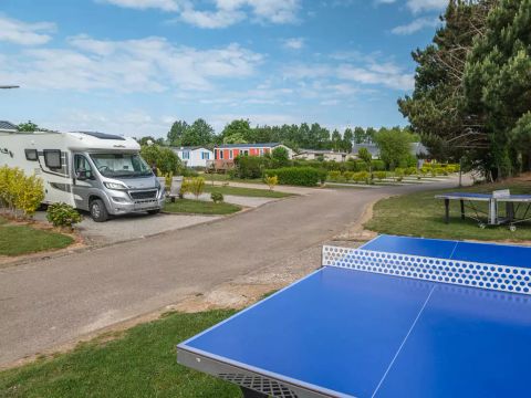Flower Camping Vitamin - Camping Seine-Maritime - Image N°17
