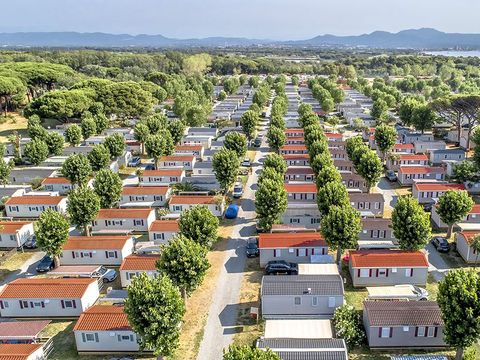 Camping De Saint Aygulf Plage - Camping Var - Image N°16