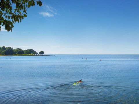 Camping Polari - Camping Istrie - Image N°18