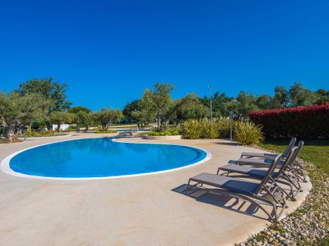 Camping Polari - Camping Istrie - Image N°2