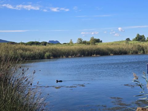 Camping La Plage d'Argens - Camping Var - Image N°16