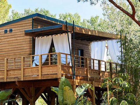 BUNGALOW 4 personnes - Lodge sur pilotis - Kabane 2/4 sdb