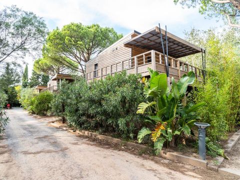 BUNGALOW 6 personnes - Kabane sur pilotis 4 Pièces