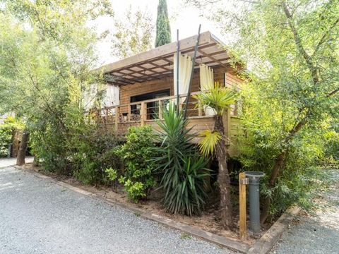 BUNGALOW 5 personnes - Lodge Kabane sur Pilotis 3 Pièces