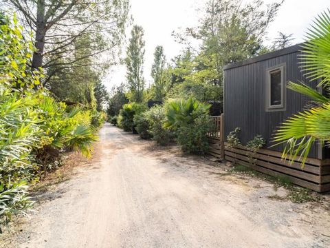 MOBILHOME 5 personnes - Kosy 3 Pièces