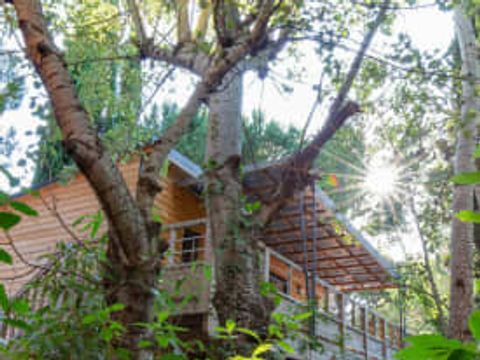 CHALET 6 personnes - Chalet 6p 3ch ****