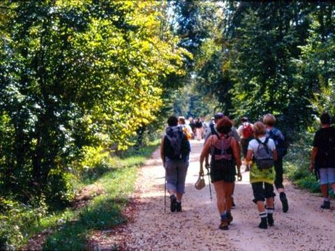 Camping De La Belle Etoile - Camping Loire - Image N°23