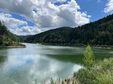 Camping De La Belle Etoile - Camping Loire - Image N°4