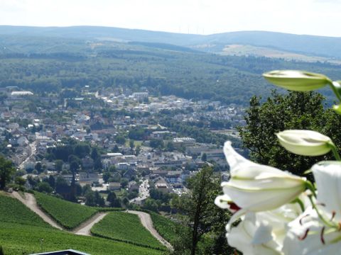 Camping Landal Warsberg - Camping Rhénanie-Palatinat - Image N°25