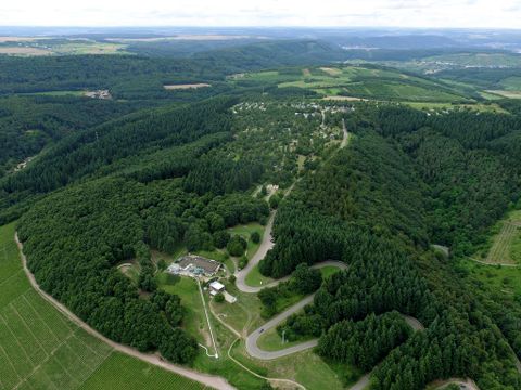 Camping Landal Warsberg - Camping Rhénanie-Palatinat - Image N°6