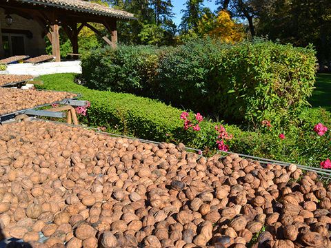 Camping Moulin des Sandaux - Camping Gironde - Image N°26