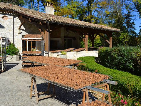Camping Moulin des Sandaux - Camping Gironde - Image N°27
