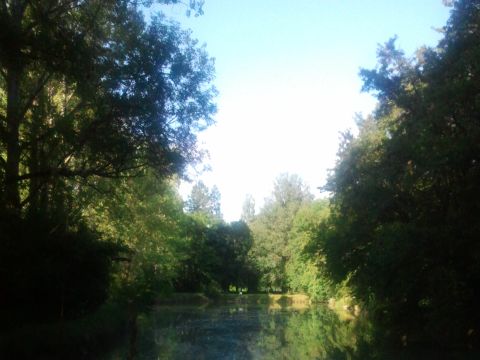 Camping Les Rives du Céou - Camping Lot - Image N°23