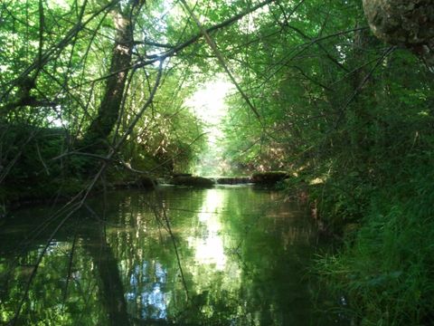 Camping Les Rives du Céou - Camping Lot - Image N°25
