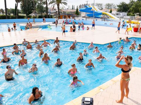 Camping Le Bosc - Camping Pyrénées-Orientales - Image N°19