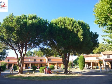 Résidence Saint Cyprien - Camping Pyrénées-Orientales - Image N°14