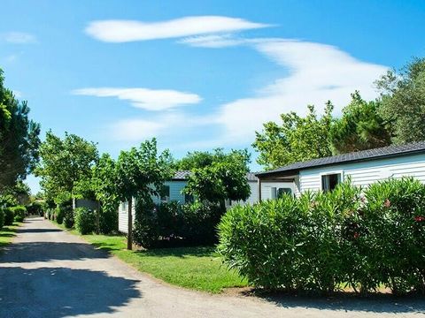 Camping Le Roussillon  - Camping Pyrénées-Orientales - Image N°22