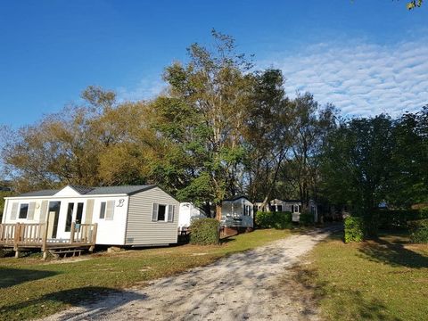 Camping les Etangs de Plessac  - Camping Dordogne - Image N°15