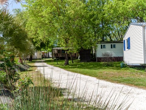 Camping les Etangs de Plessac  - Camping Dordogne - Image N°55