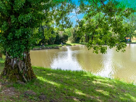 Camping les Etangs de Plessac  - Camping Dordogne - Image N°24