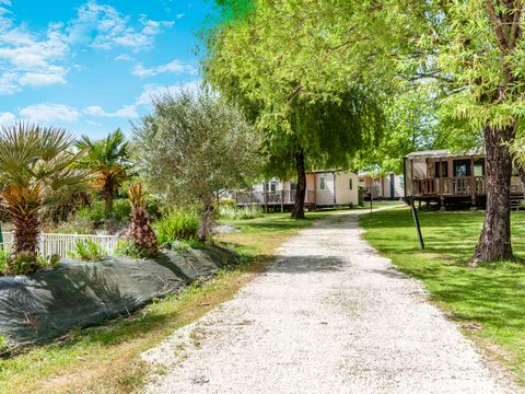 Camping les Etangs de Plessac  - Camping Dordogne - Image N°21