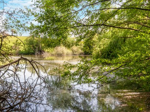 Camping les Etangs de Plessac  - Camping Dordogne - Image N°59