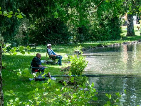 Camping les Etangs de Plessac  - Camping Dordogne - Image N°9