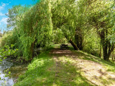 Camping les Etangs de Plessac  - Camping Dordogne - Image N°58