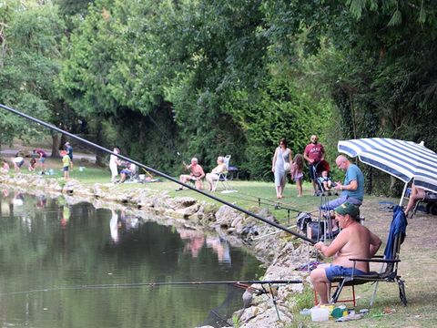 Camping les Etangs du Plessac  - Camping Dordogne - Image N°24
