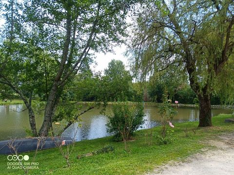 Camping les Etangs du Plessac  - Camping Dordogne - Image N°40