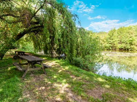 Camping les Etangs de Plessac  - Camping Dordogne - Image N°59