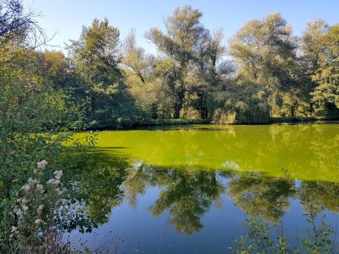 Camping les Etangs du Plessac  - Camping Dordogne - Image N°9