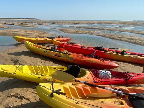 Camping Signol - Camping Charente-Maritime - Image N°20