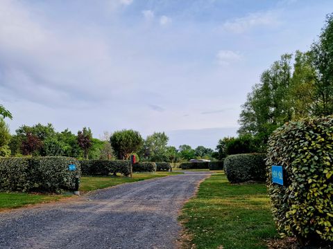Camping Paradis - Domaine de Bellevue - Camping Vendée - Image N°27