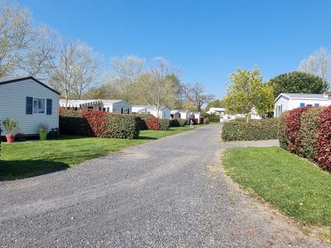 Camping Paradis - Domaine de Bellevue - Camping Vendée - Image N°30