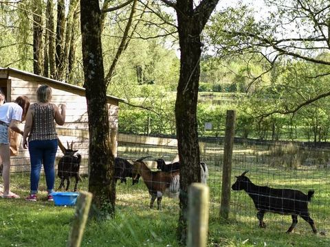 Camping Paradis - Domaine de Bellevue - Camping Vendée - Image N°43