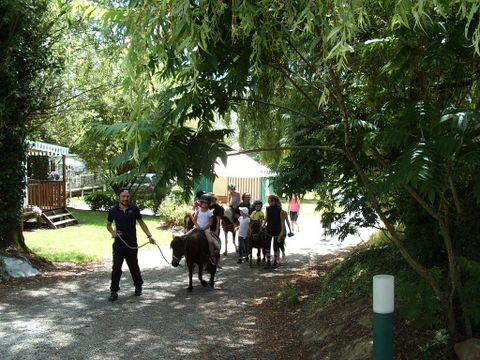 Camping Paradis - Domaine de Bellevue - Camping Vendée - Image N°19