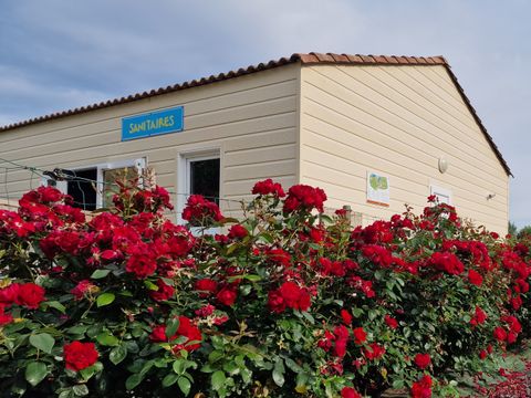 Camping Paradis - Domaine de Bellevue - Camping Vendée - Image N°20