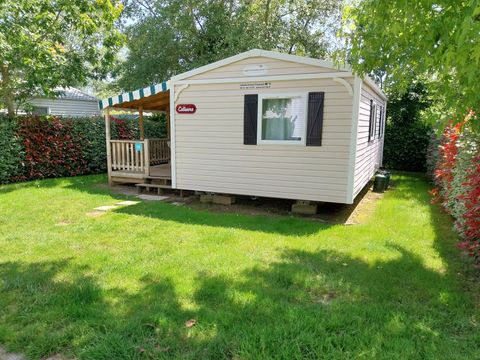 Camping Paradis - Domaine de Bellevue - Camping Vendée - Image N°44