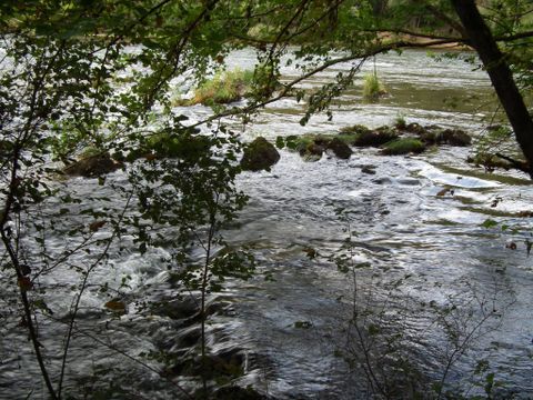 Domaine Vallee Du Tarn - Camping Tarn - Image N°29