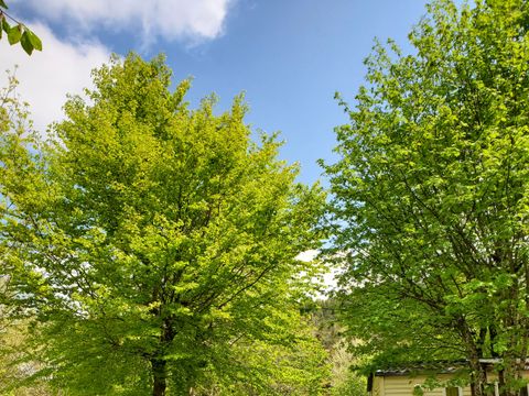 Camping Les Airelles - Camping Ardèche - Image N°30