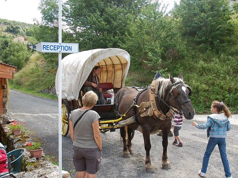 Camping Les Airelles - Camping Ardèche - Image N°17