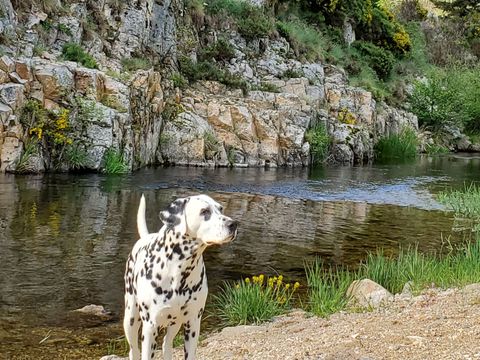 Camping Les Airelles - Camping Ardèche - Image N°32