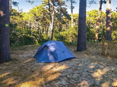 Emplacement - Emplacement | Comfort | Tente | Véhicule +7m | 100m² - 120m² | Electricité | Pas d'eau