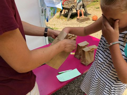 Camping Moulin de Chaules  - Camping Cantal - Image N°41