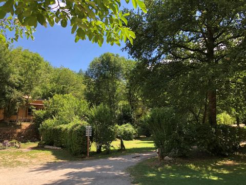 Camping Moulin de Chaules  - Camping Cantal - Image N°17