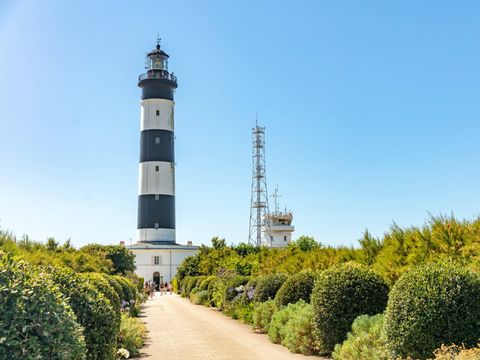 Camping Domaine d'Oléron   - Camping Charente-Maritime - Image N°47