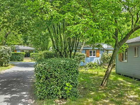Les Hameaux des Marines - Camping Charente-Maritime - Image N°10